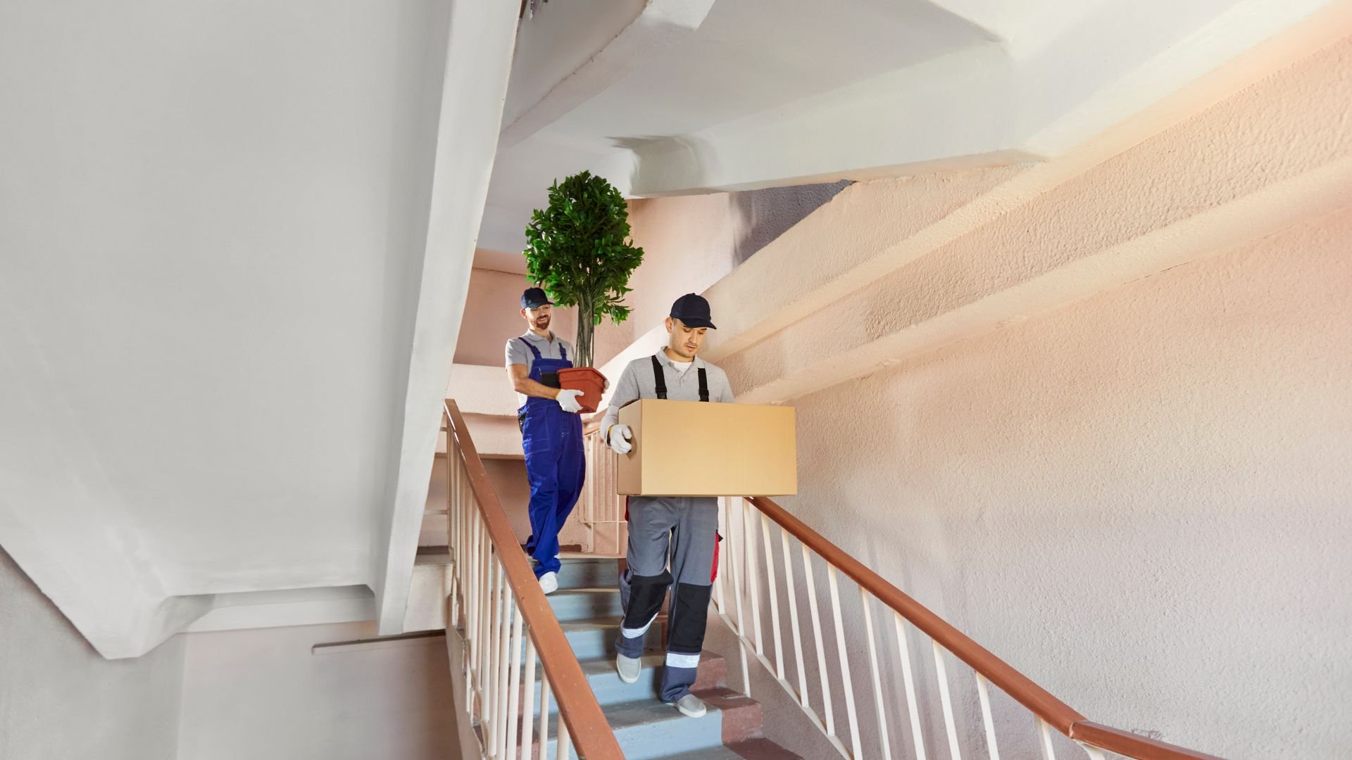 Two movers carrying a box and potted plant up a staircase