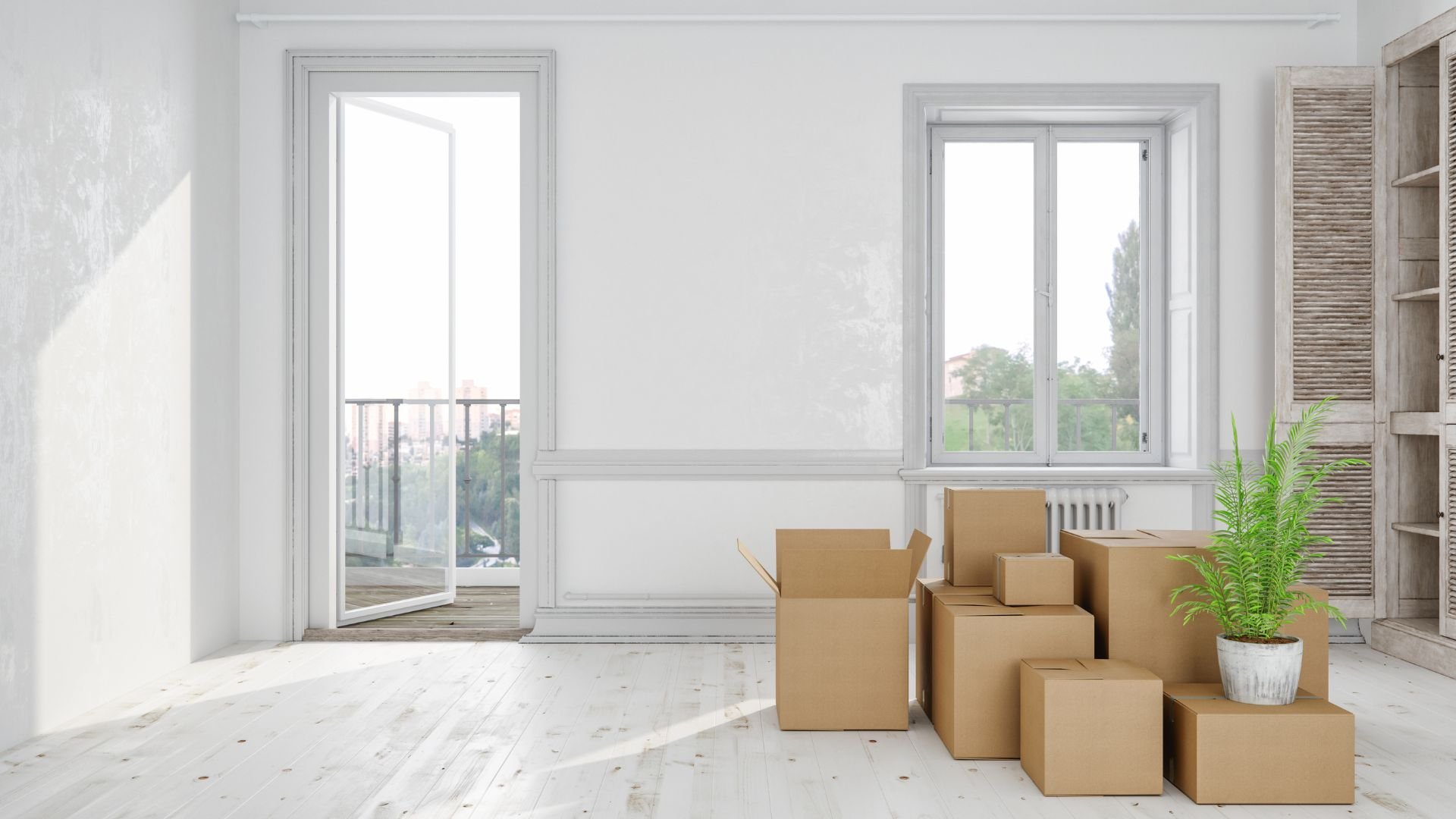 Empty white room with cardboard moving boxes and potted plant